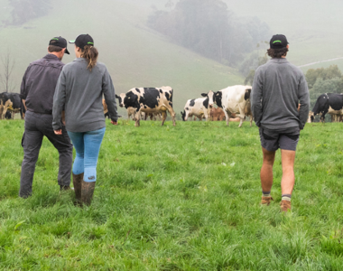 Best care for animals